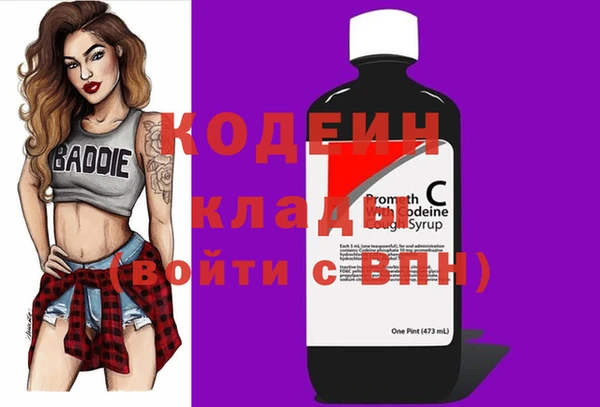 СК Новозыбков