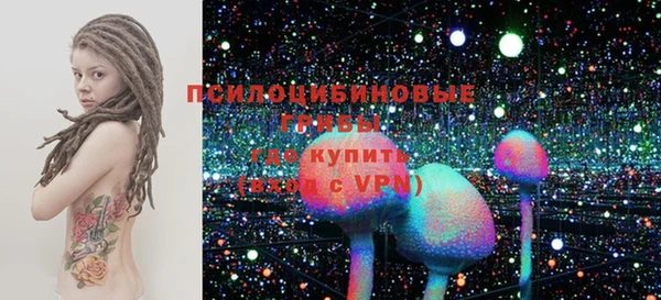 индика Нефтегорск