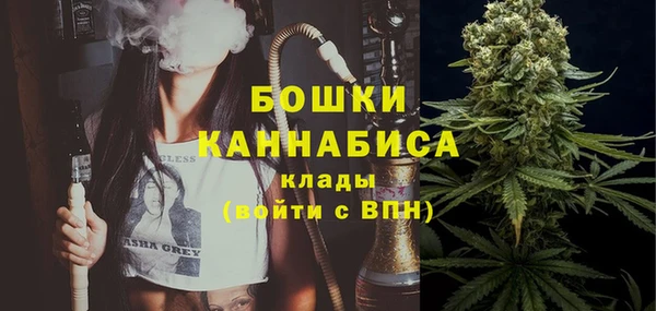 индика Нефтегорск