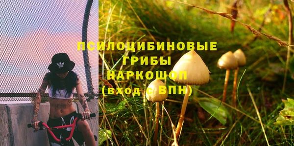 spice Волосово