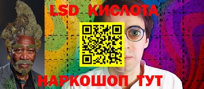 apvp Гусев