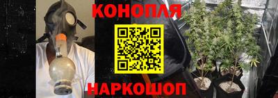 гидропоника Кингисепп