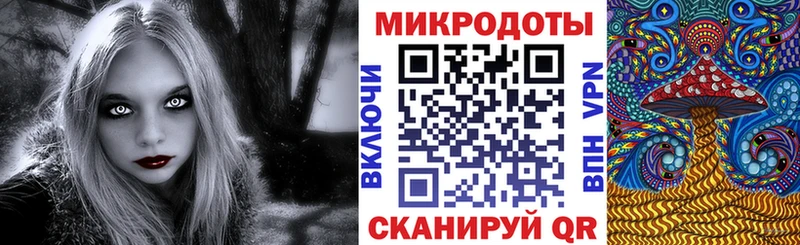 купить наркотики цена omg зеркало Галлюциногенные грибы GOLDEN TEACHER Котлас