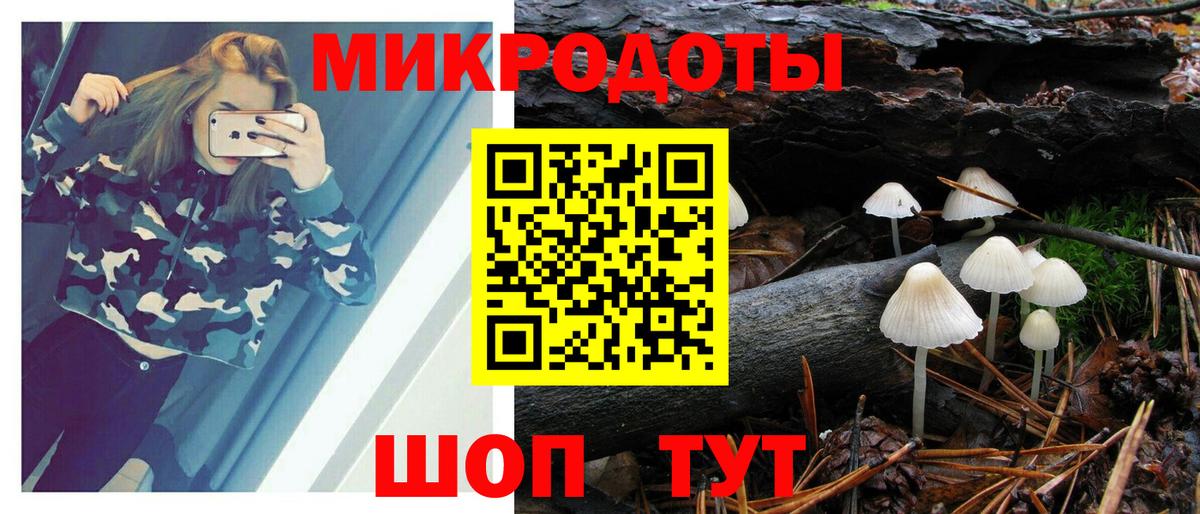 Галлюциногенные грибы мицелий  Псилоцибиновые грибы GOLDEN TEACHER  купить   Котлас  Вход с VPN 